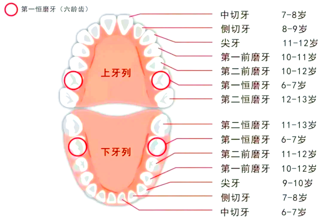 换牙过早与骨龄偏大：解开儿童成长密码，西安附一儿童医院为您护航