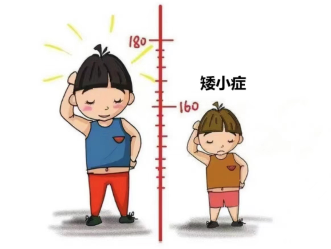 孩子身高“卡壳”别慌！3招科学追高破局限
